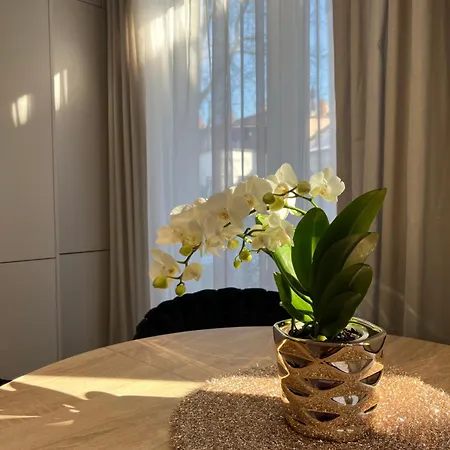 Kaszmirowy Apartamento *