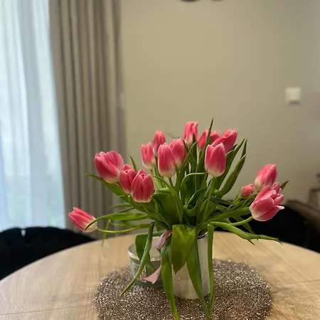 Apartment Kaszmirowy Bielsko-Biala