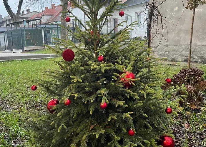 Kaszmirowy Apartment Bielsko-Biala