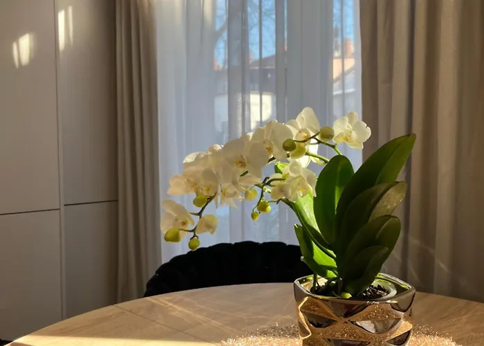 Kaszmirowy Apartamento *