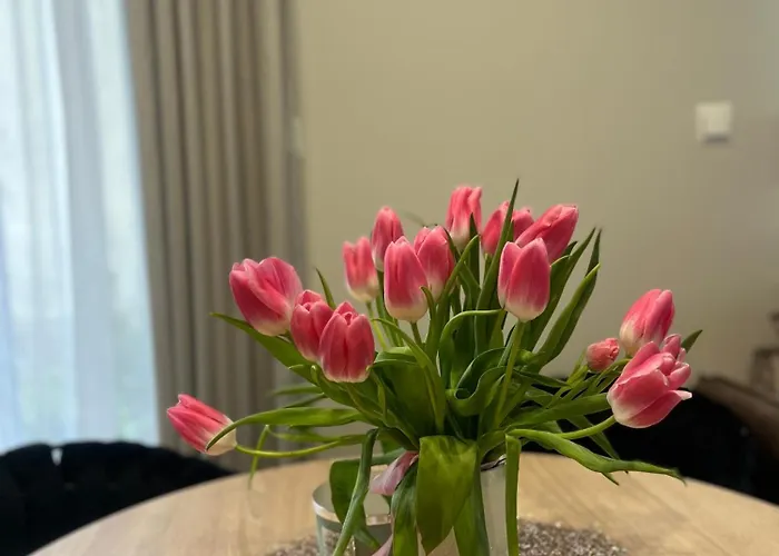 Apartment Kaszmirowy Bielsko-Biala